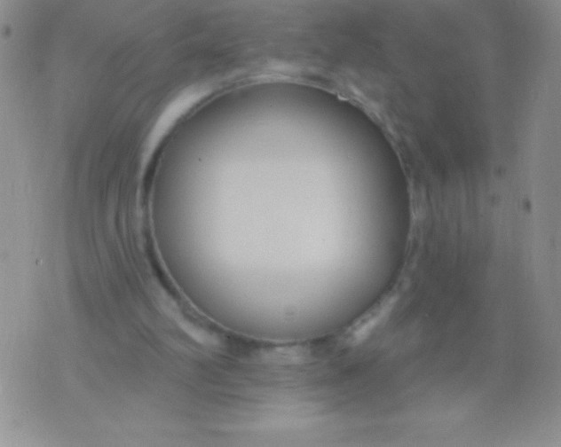 X0000071960102200607282043