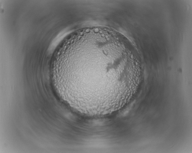 X0000071960103200607282043