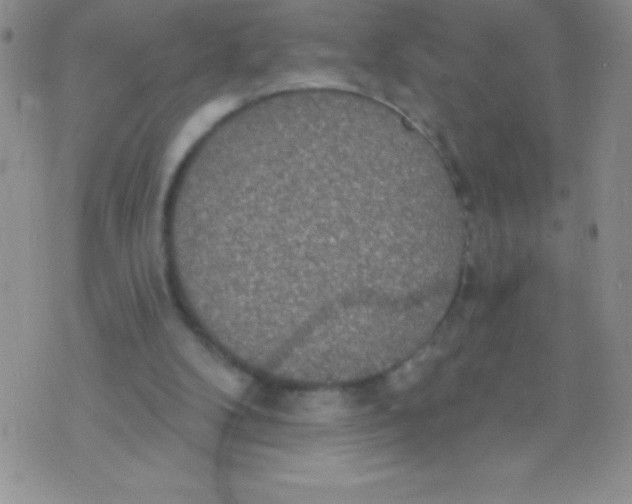 X0000071960104200607282043