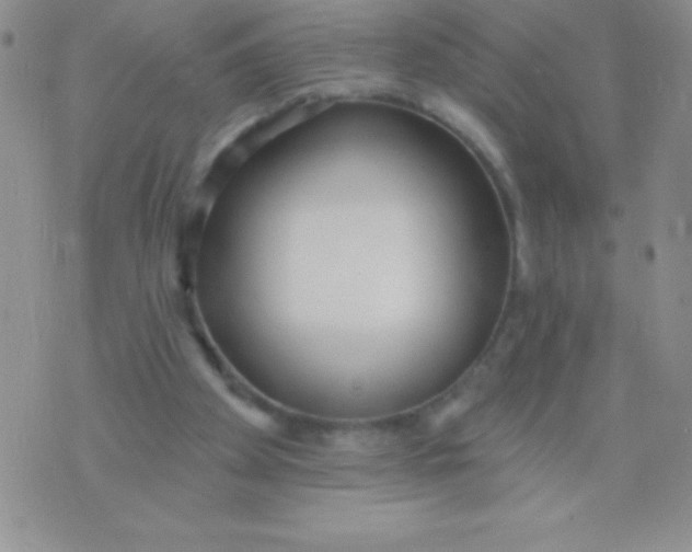 X0000071960105200607282043