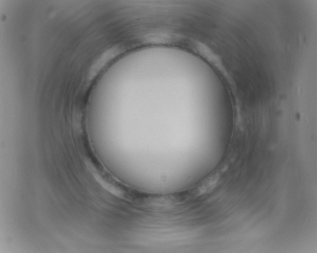 X0000071960106200607282043