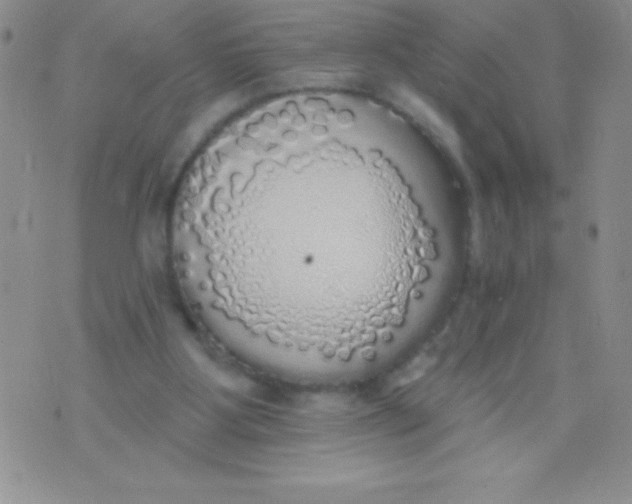 X0000071960107200607282043