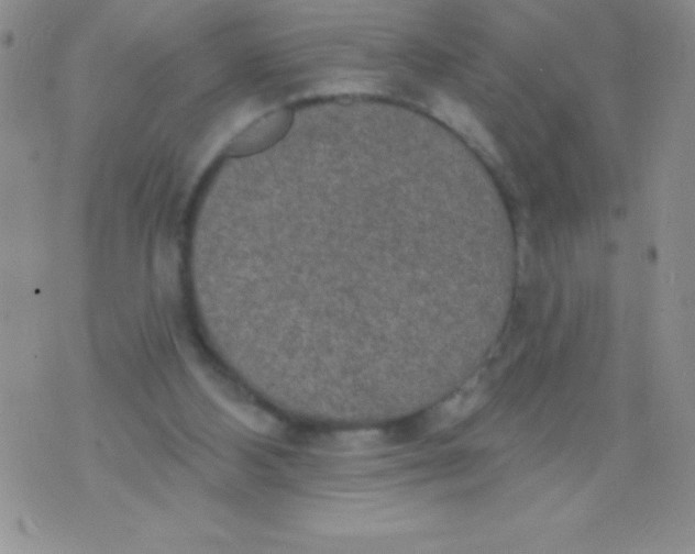 X0000071960108200607282043