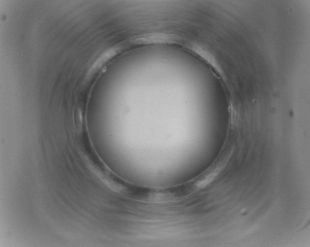 X0000071960109200607282043