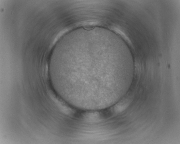 X0000071960110200607282043