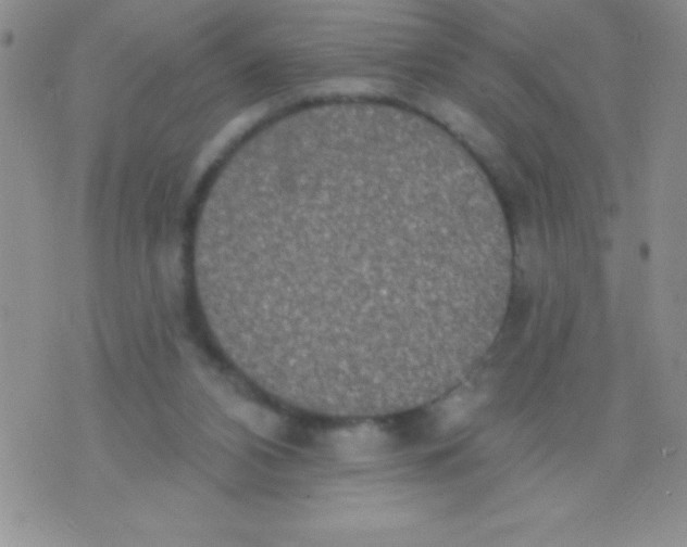 X0000071960112200607282043