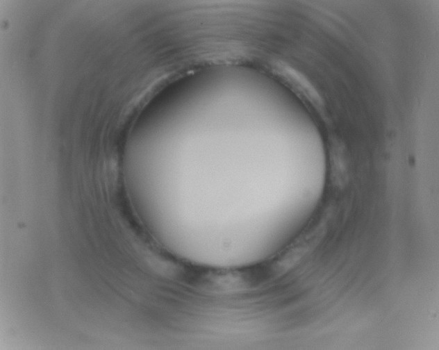 X0000071960113200607282043