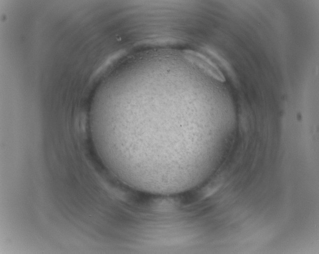 X0000071960115200607282043