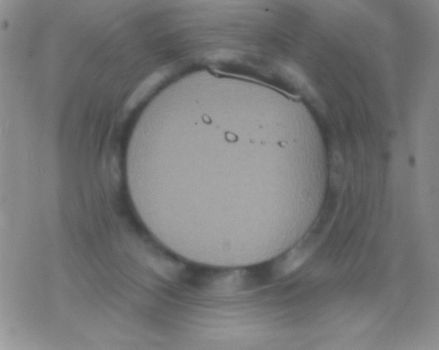 X0000071960116200607282043