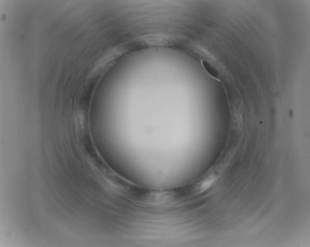 X0000071960117200607282043