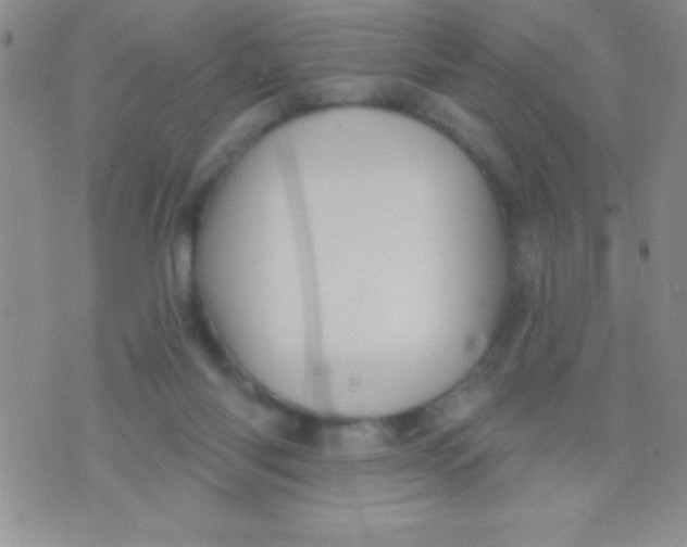 X0000071960118200607282043