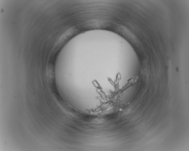 X0000071960119200607282043