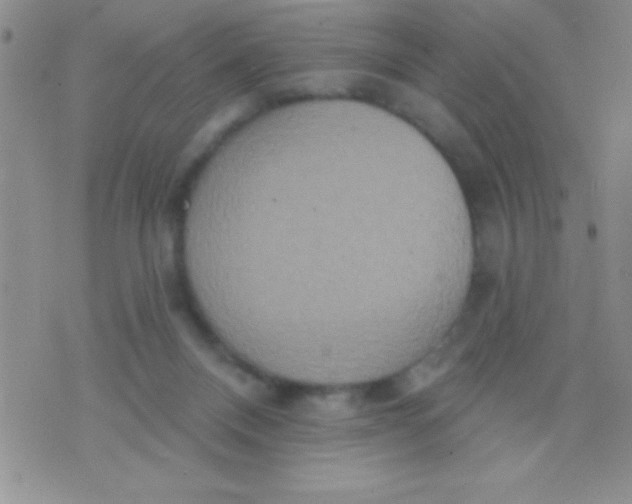 X0000071960120200607282043