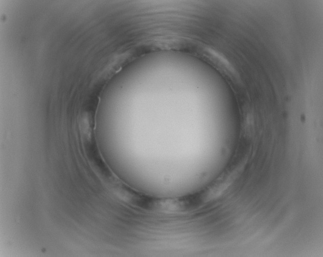 X0000071960121200607282043