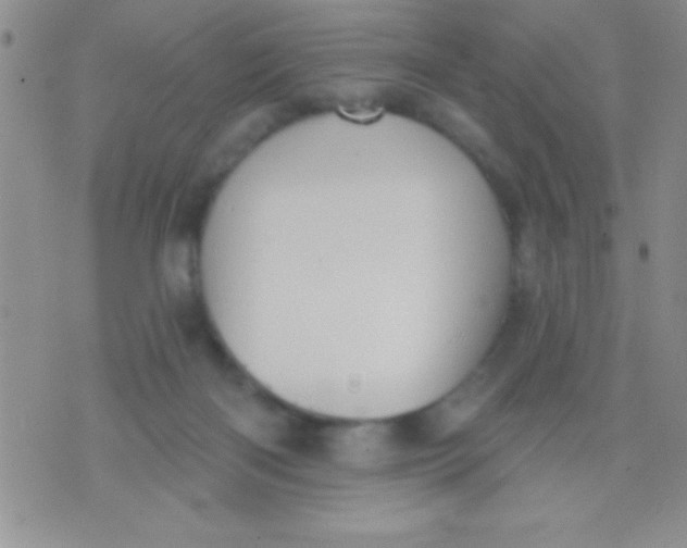 X0000071960122200607282043