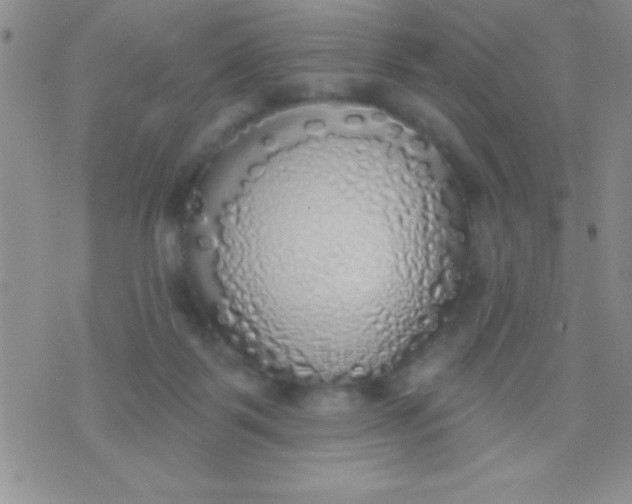 X0000071960123200607282043