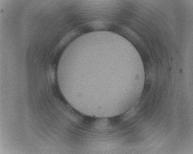 X0000071960124200607282043