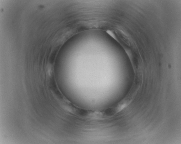 X0000071960125200607282043