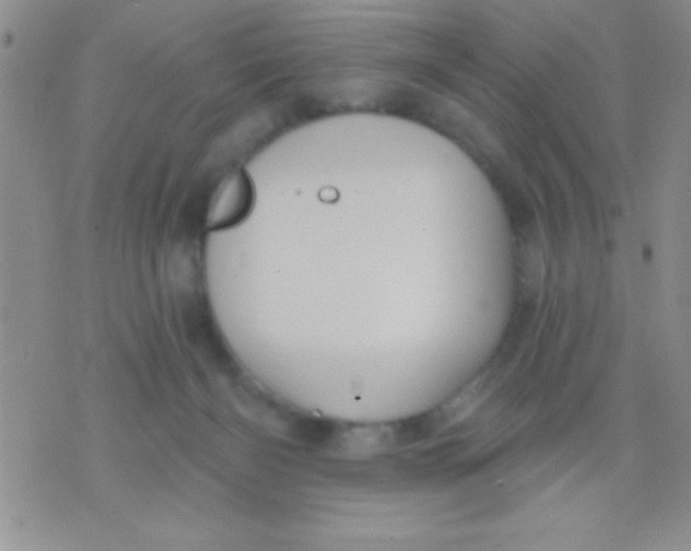 X0000071960126200607282043