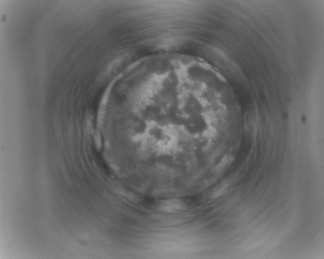 X0000071960127200607282043