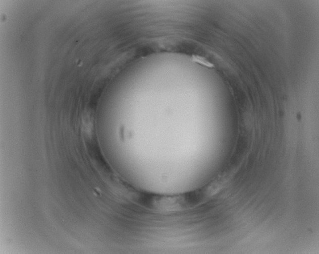 X0000071960129200607282043