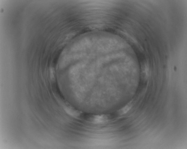 X0000071960130200607282043