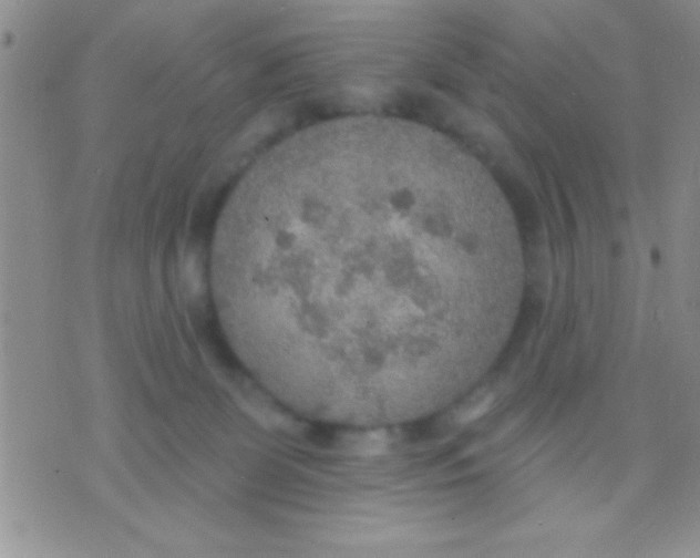 X0000071960131200607282043