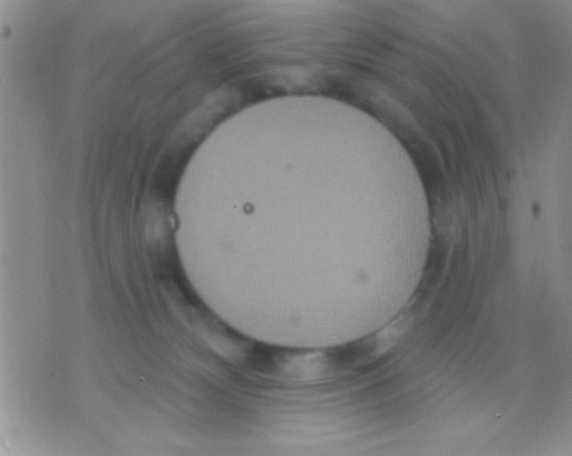 X0000071960132200607282043