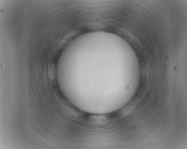 X0000071960133200607282042