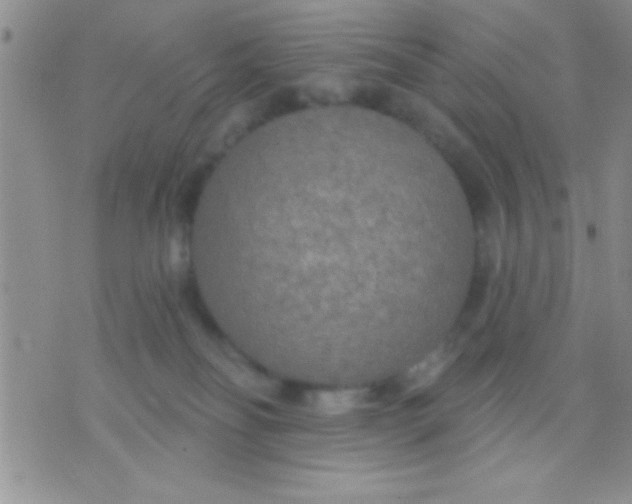 X0000071960134200607282042