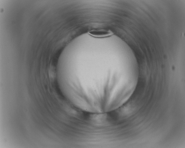 X0000071960135200607282042