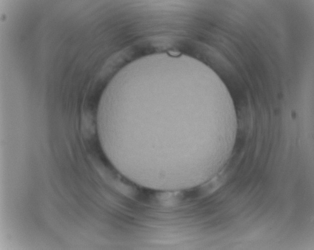 X0000071960136200607282042