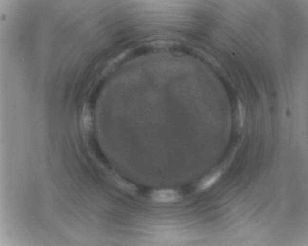 X0000071960137200607282042