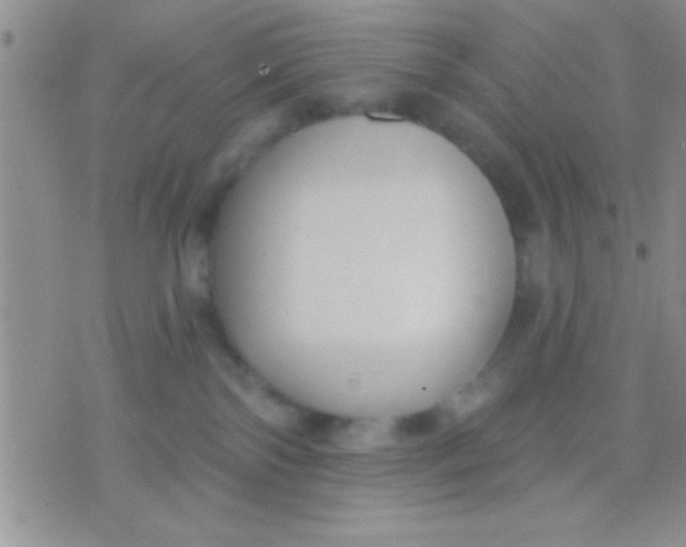 X0000071960138200607282042