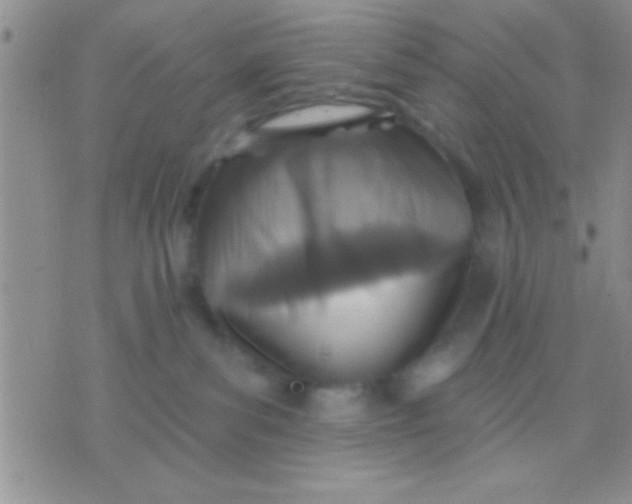 X0000071960139200607282042