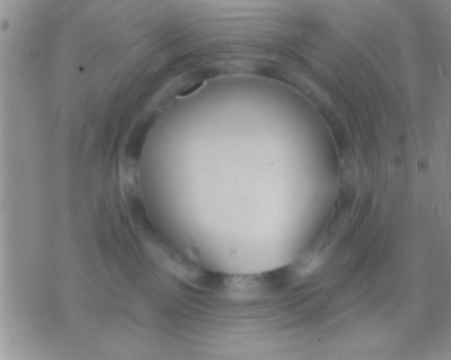 X0000071960141200607282042