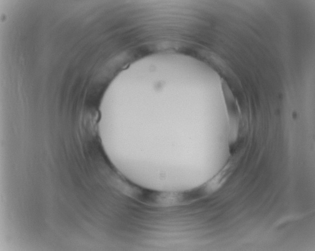 X0000071960142200607282042