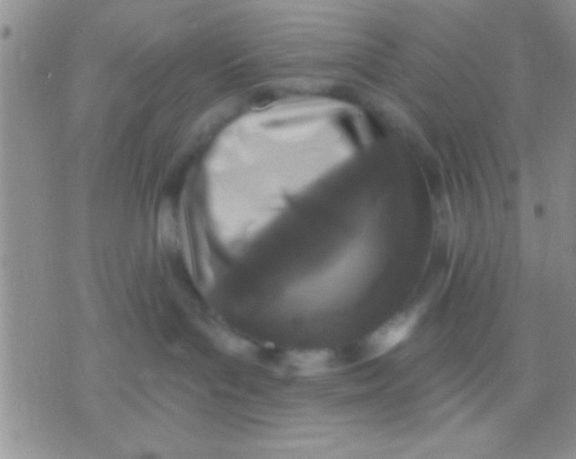 X0000071960143200607282042