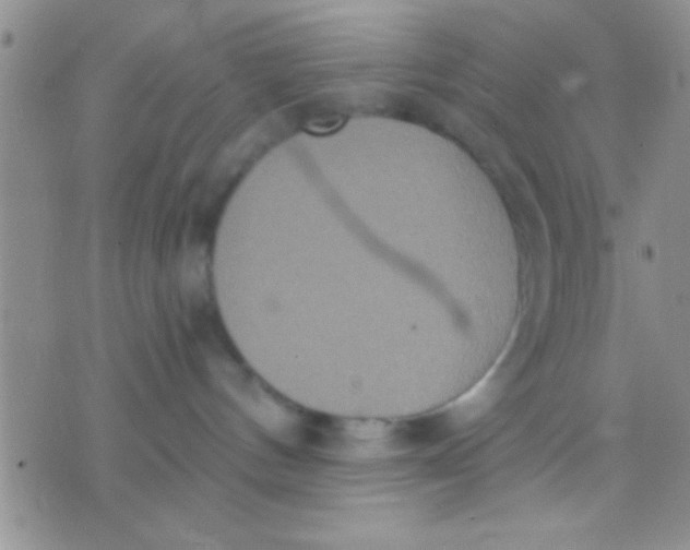 X0000071960144200607282042