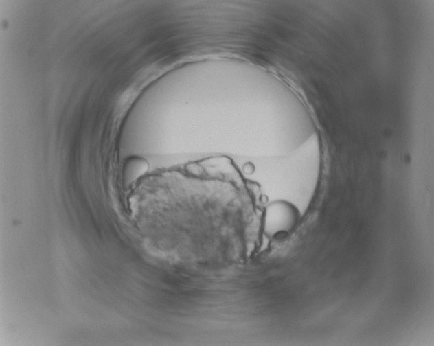 X0000071960145200607282042