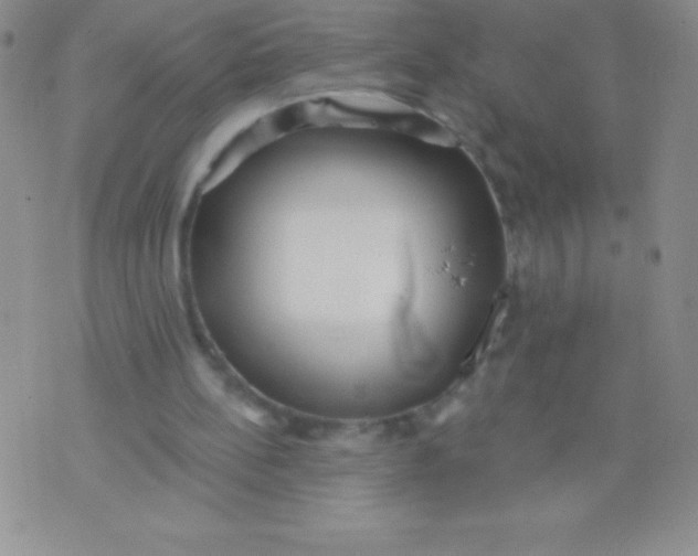 X0000071960148200607282042