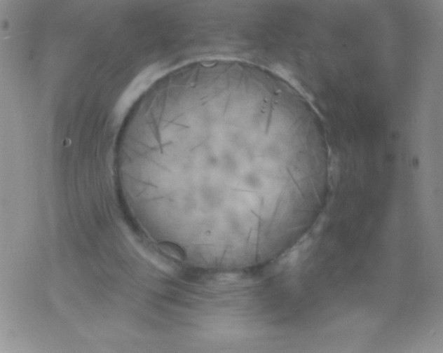 X0000071960151200607282042