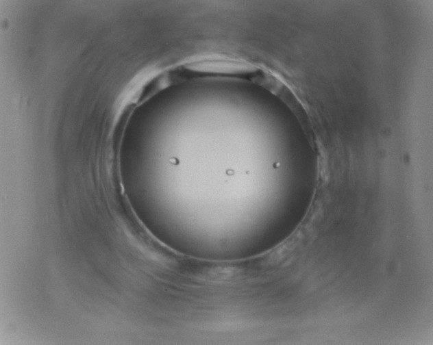 X0000071960152200607282042