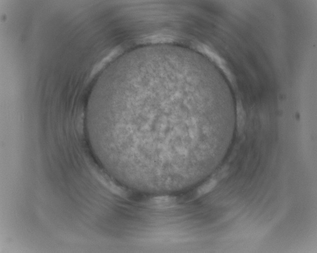 X0000071960153200607282042