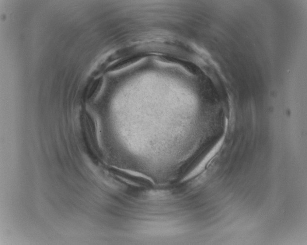 X0000071960154200607282042