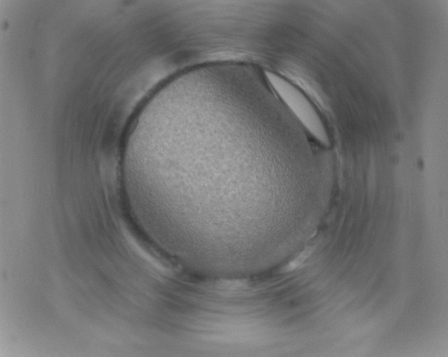 X0000071960156200607282042