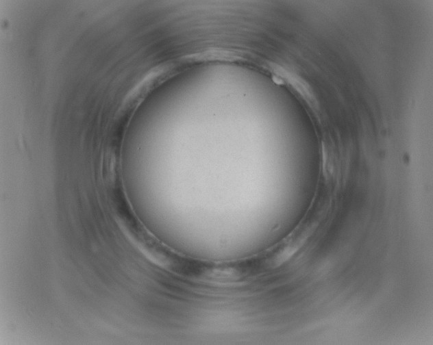 X0000071960157200607282042