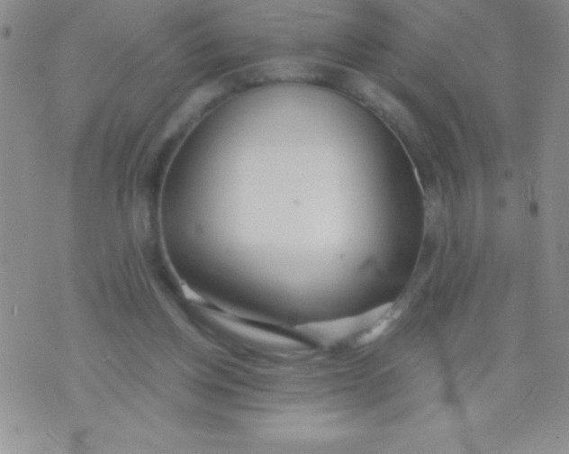 X0000071960158200607282042