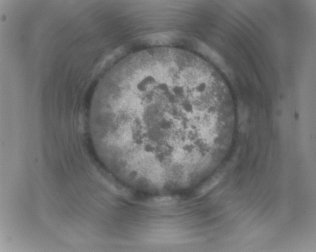 X0000071960161200607282042