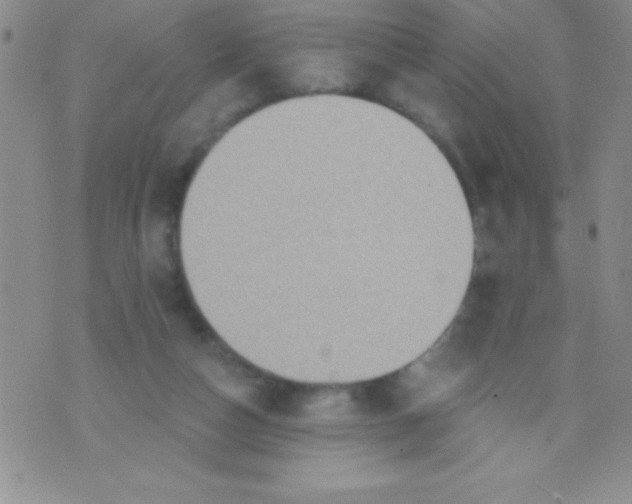 X0000071960162200607282042